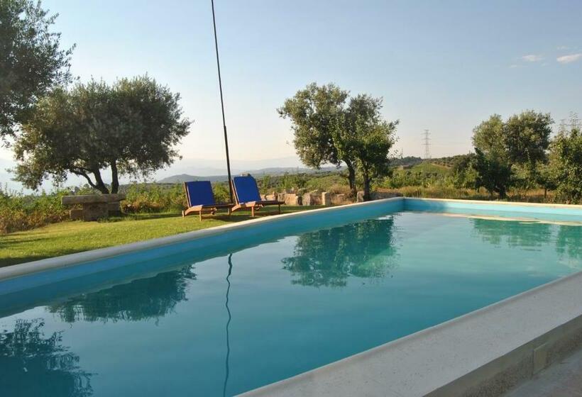 Пансион Casa De Sao Miguel Douro