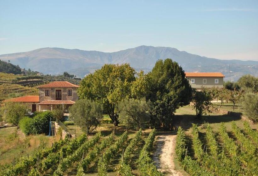 Пансион Casa De Sao Miguel Douro