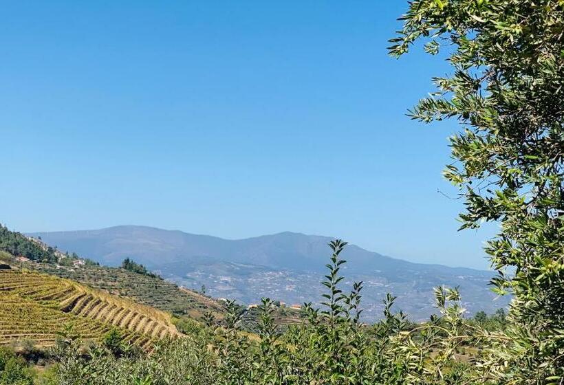 Пансион Casa De Sao Miguel Douro