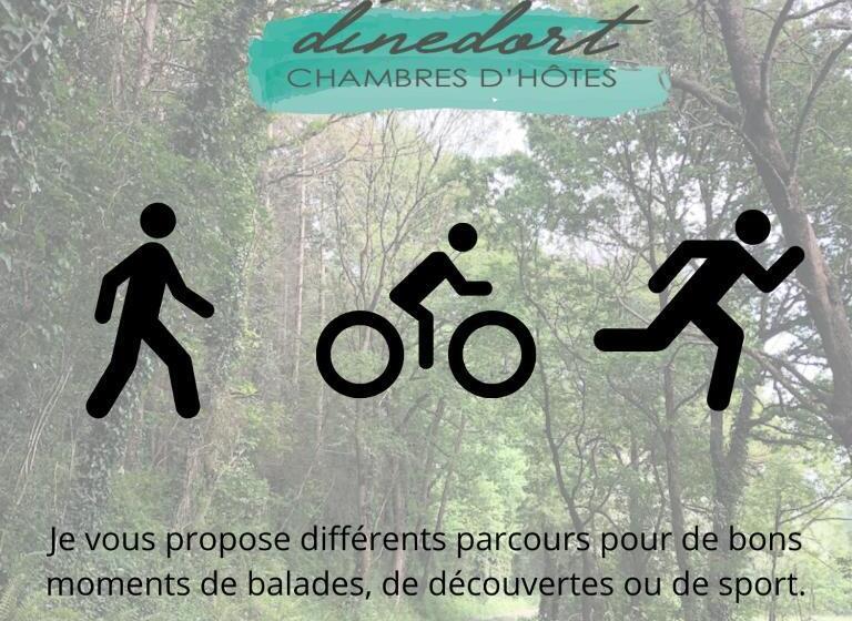 פנסיון Chambres D Hôtes Dinedort