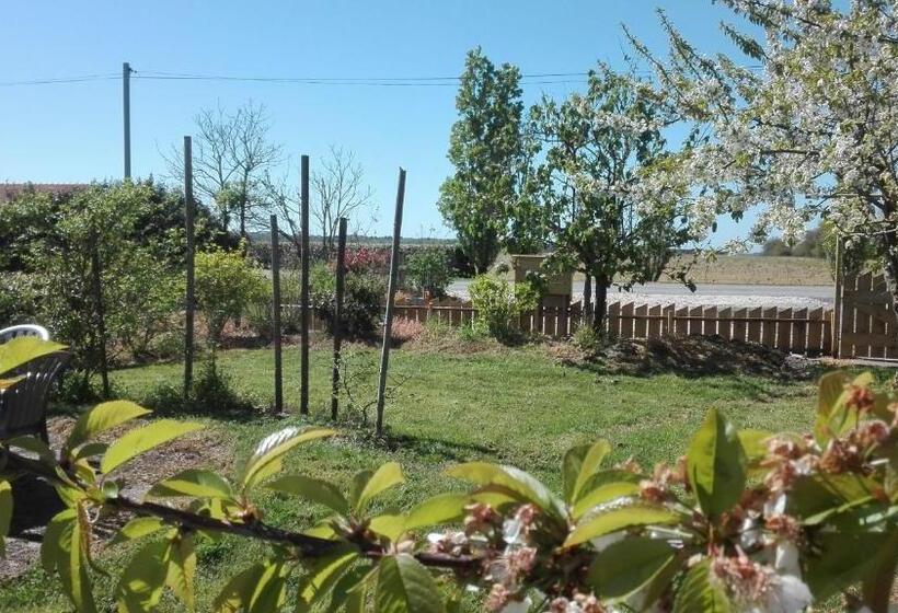 بنسيون Chambres D Hôtes Dinedort