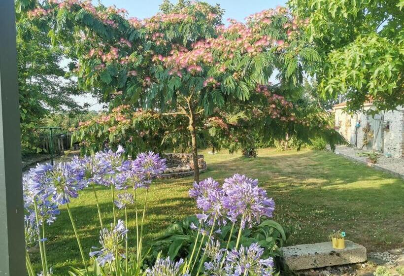 بنسيون Chambres D Hôtes Dinedort