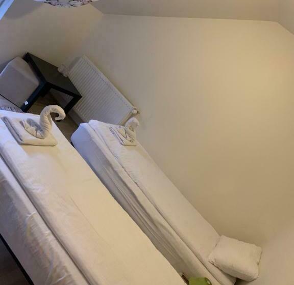 Пансион Dorf Haus Valiug