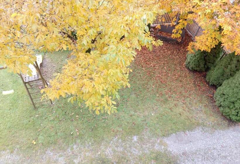 ペンション Garni Hattlerhof B&b