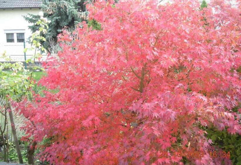 Пансион Gästehaus Becker