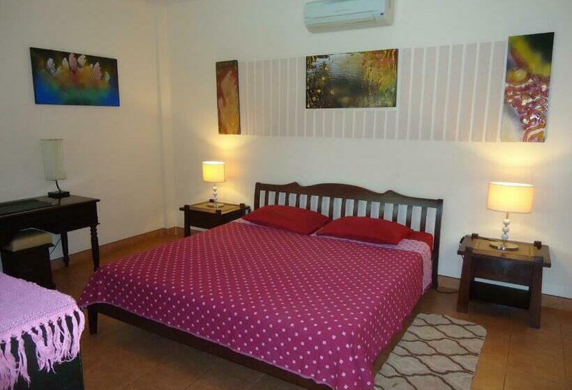 膳宿费 Lonops Gay Paradise