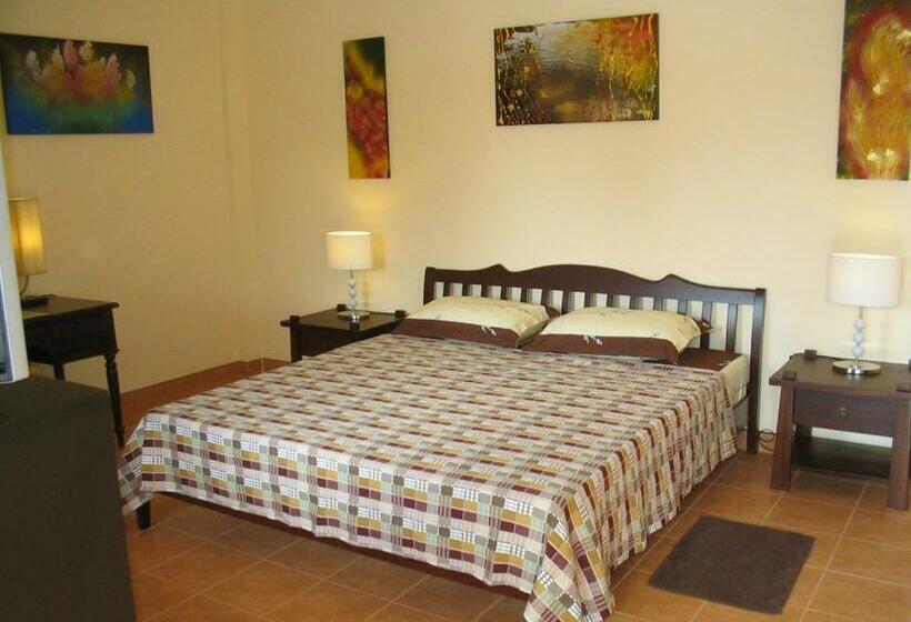 膳宿费 Lonops Gay Paradise