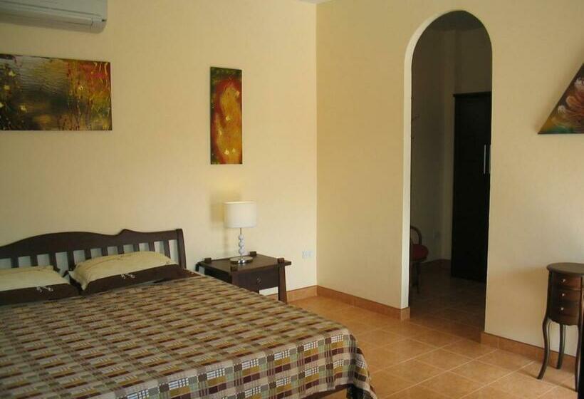 膳宿费 Lonops Gay Paradise