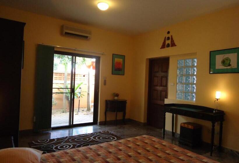 膳宿费 Lonops Gay Paradise