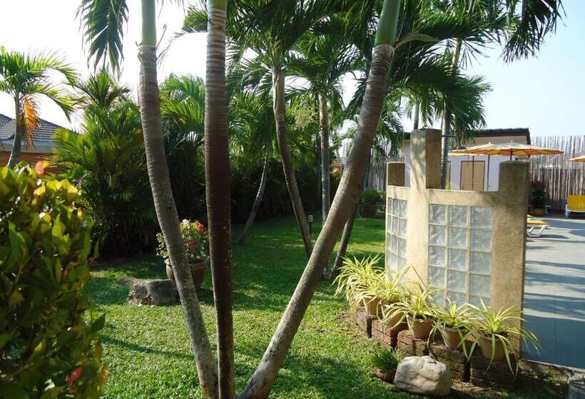 膳宿费 Lonops Gay Paradise