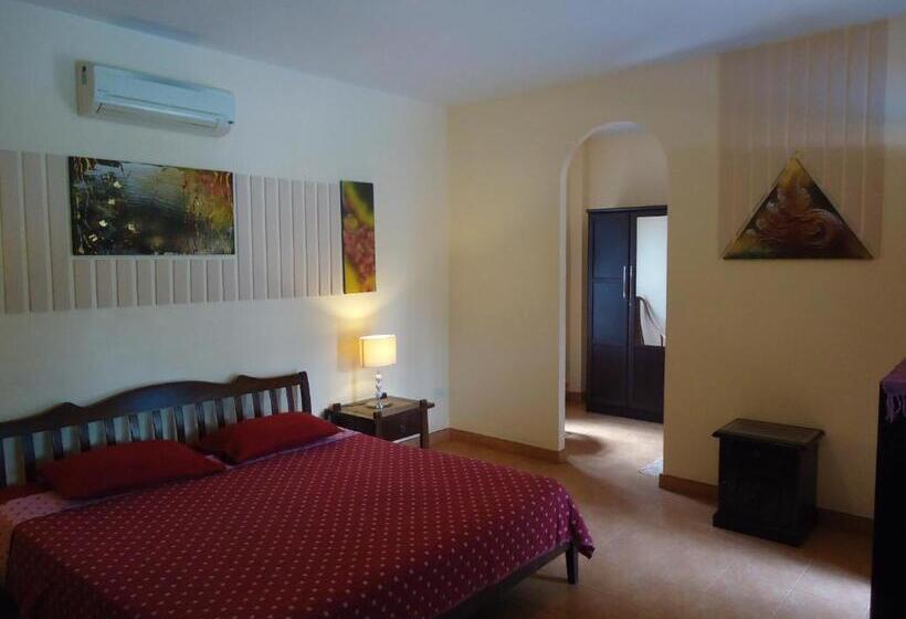 膳宿费 Lonops Gay Paradise