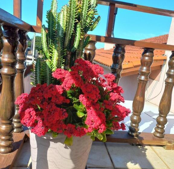 پانسیون Sonho Da Serra Pousada