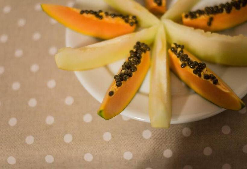 پانسیون Sonho Da Serra Pousada