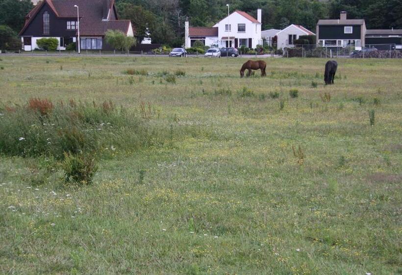 ペンション Villa  T Haasduin