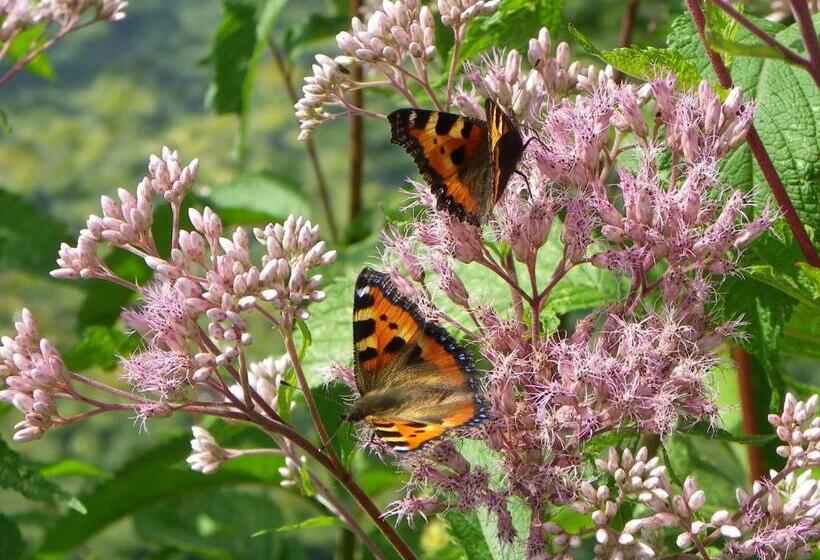 B&b Au Bord De La Source