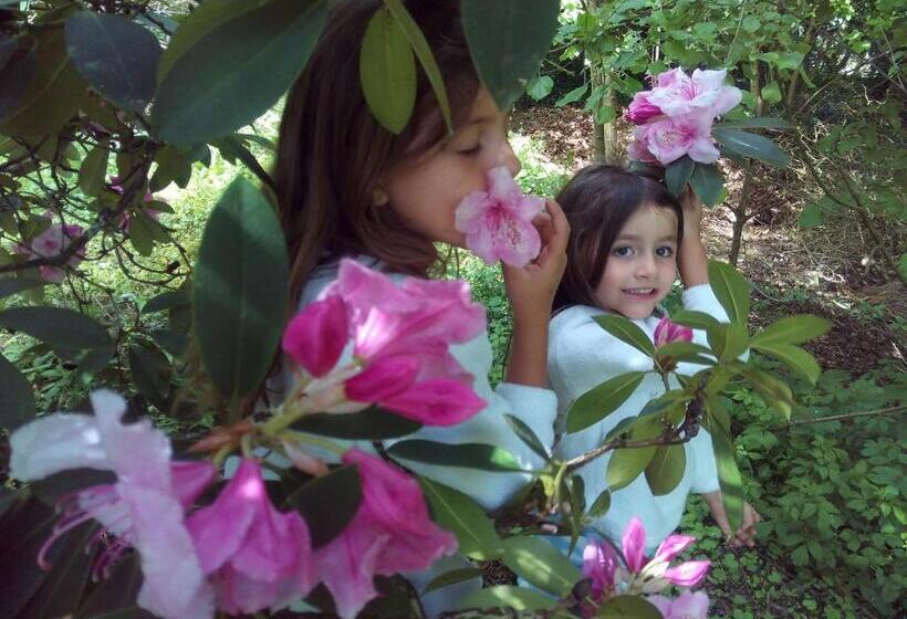 B&b Chatelet Cremers