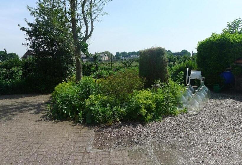 B&b De Kleine Wijngaard