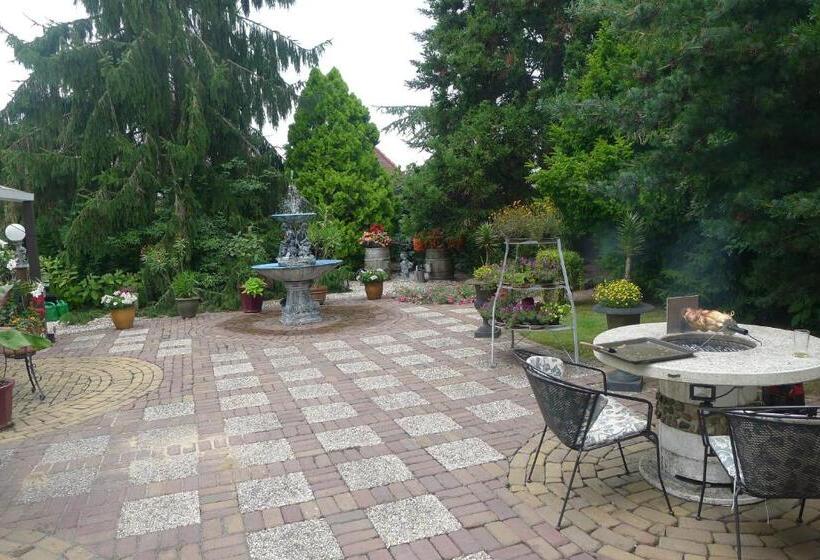 B&b De Kleine Wijngaard