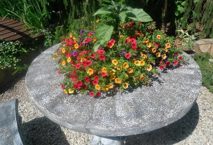 B&b De Kleine Wijngaard