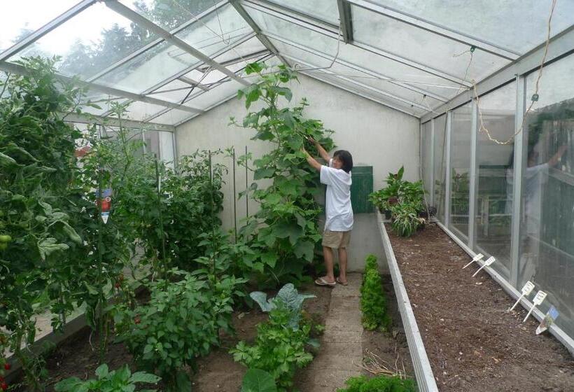 B&b De Kleine Wijngaard