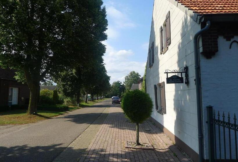 B&b De Kleine Wijngaard