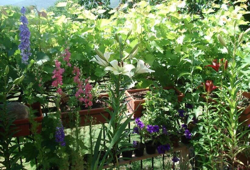 צימר Abruzzo Segreto