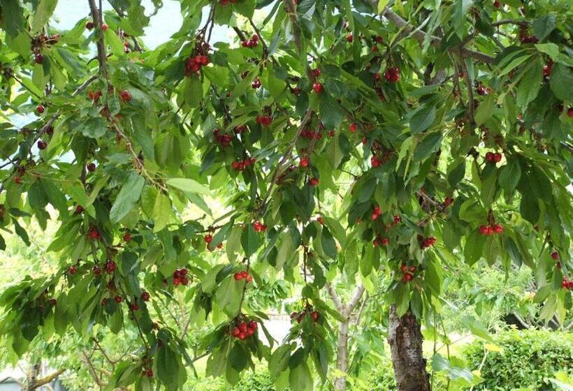 צימר Abruzzo Segreto