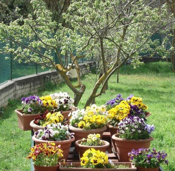 צימר Abruzzo Segreto