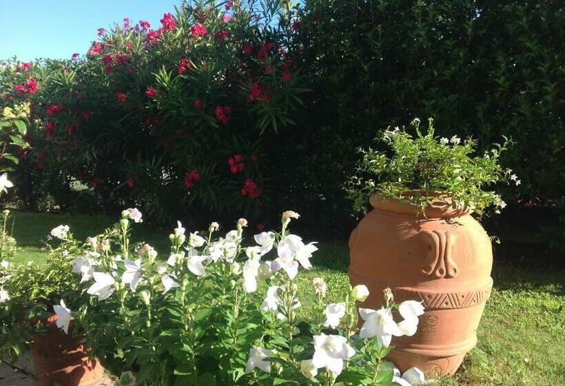 住宿加早餐  Al Chiarè