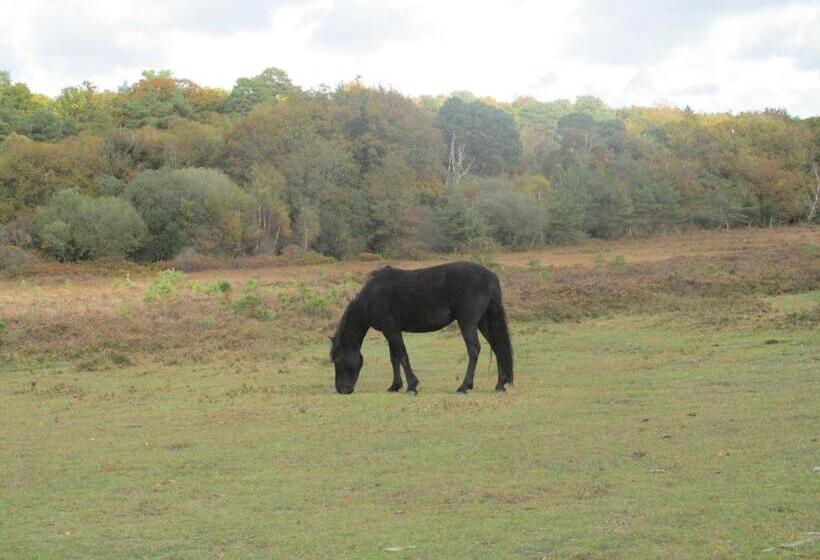 ベッドアンドブレックファースト Albertine