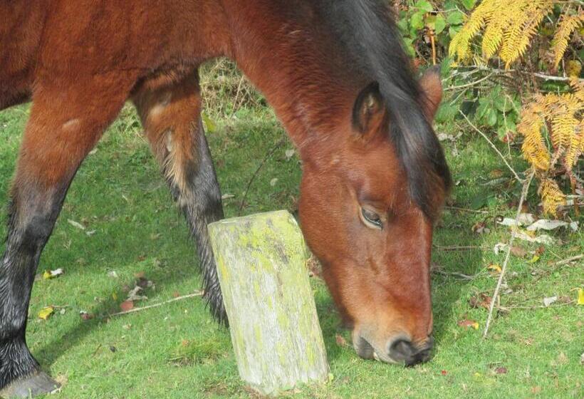 ベッドアンドブレックファースト Albertine