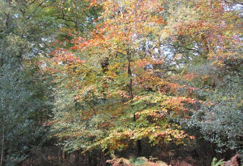 ベッドアンドブレックファースト Albertine