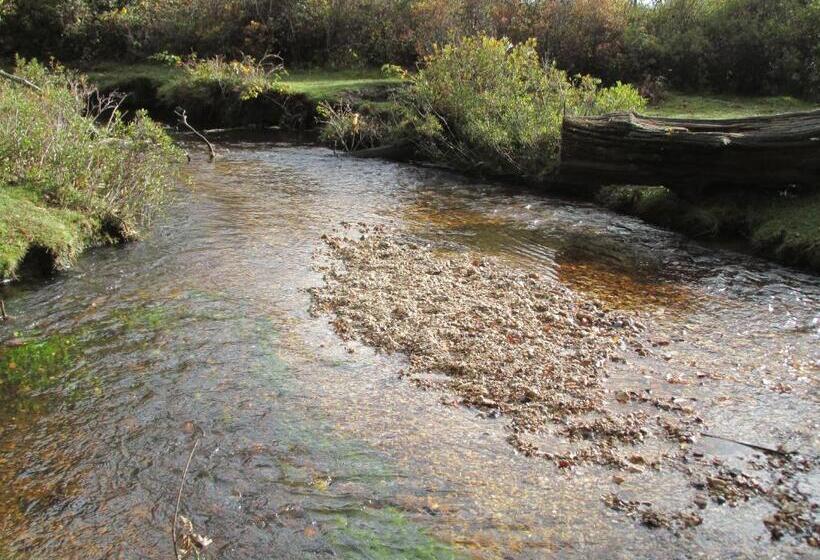 ベッドアンドブレックファースト Albertine