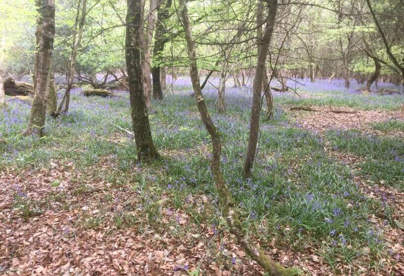 ベッドアンドブレックファースト Albertine