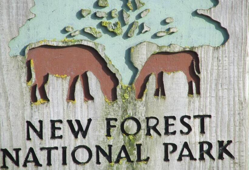 ベッドアンドブレックファースト Albertine