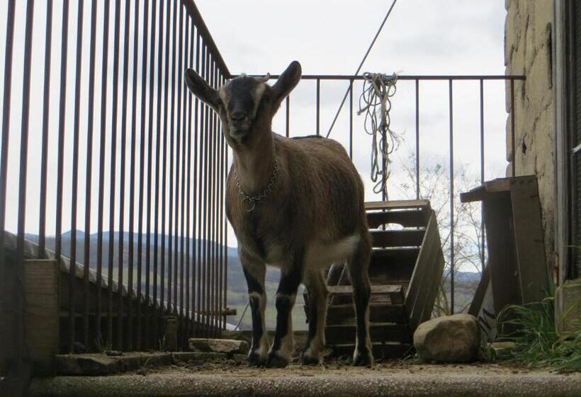 צימר Borgo Lamurese