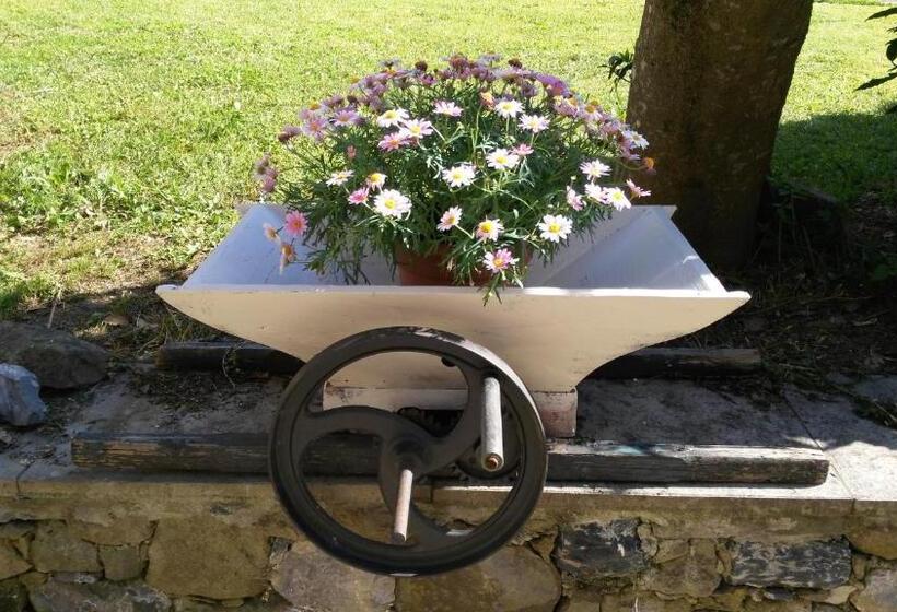 تختخواب و صبحانه Country House La Scortica