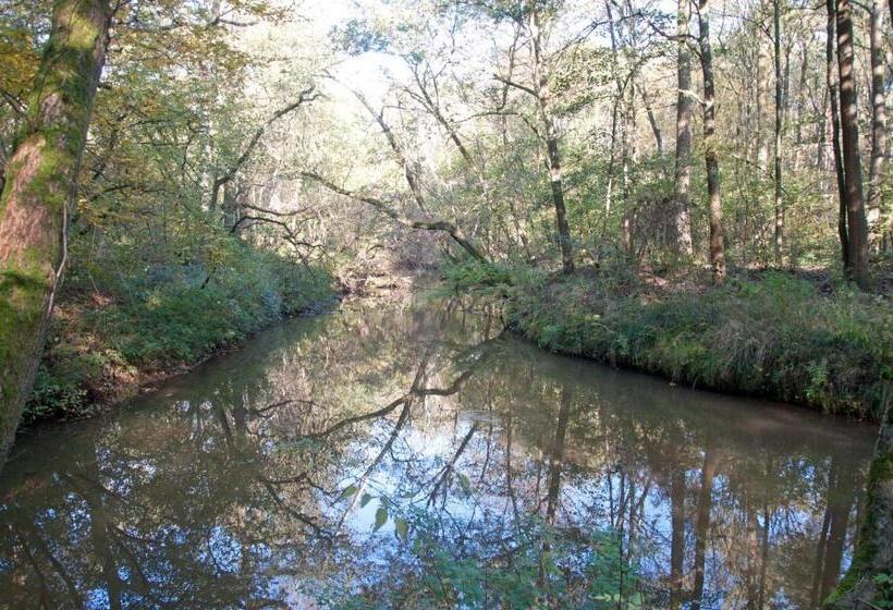 צימר De Hoge Peel