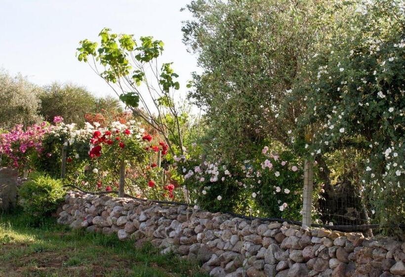 Bed and Breakfast Il Vecchioliveto Di Ornella