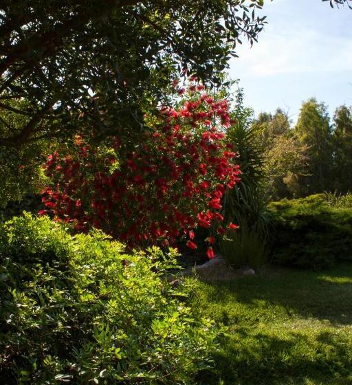 Bed and Breakfast Il Vecchioliveto Di Ornella