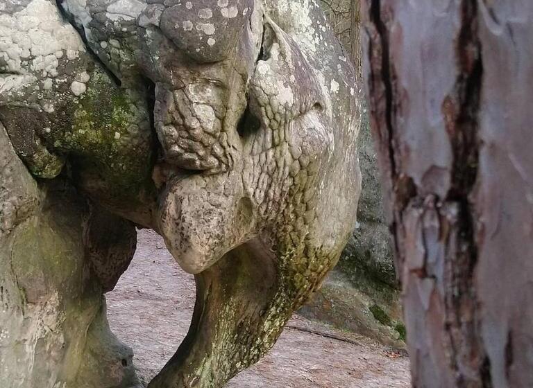 Bed and Breakfast La Bastide De Barbizon