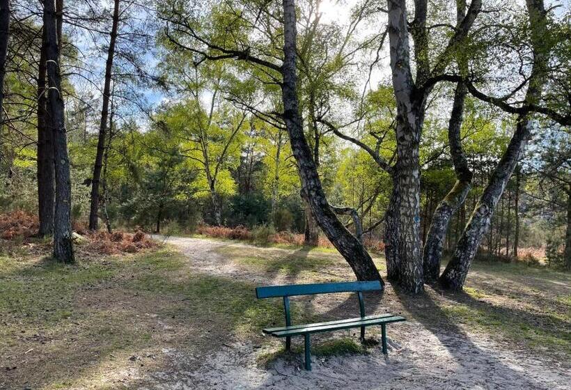 Bed and Breakfast La Bastide De Barbizon