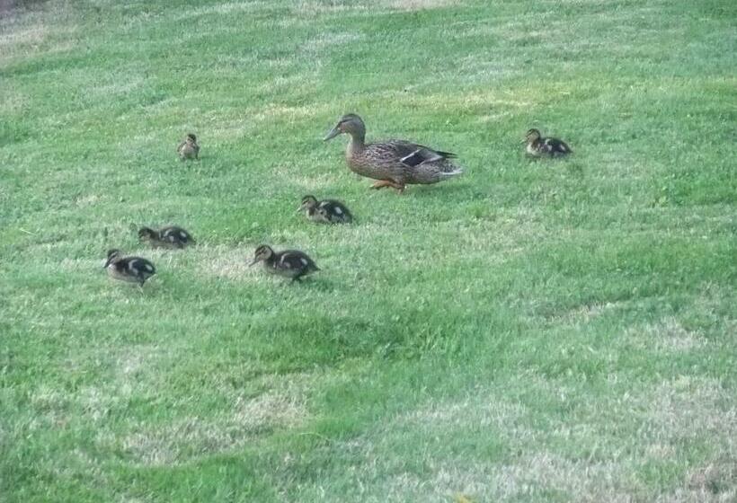 住宿加早餐  La Maison Du L.a.c