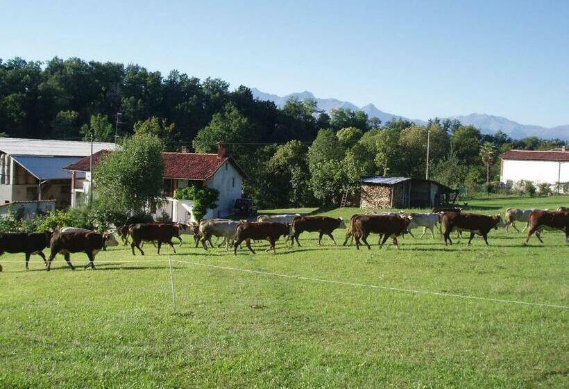 住宿加早餐  La Pepanella