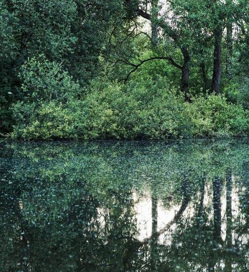 צימר Les Cabanes Des Marais