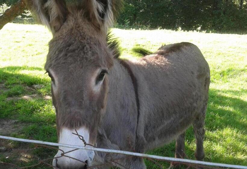 مبيت وإفطار Maison D Hôtes Les Vallées
