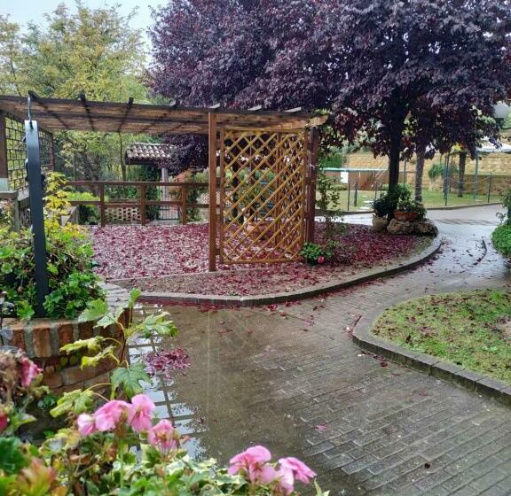 Bed And Breakfast Olimpia