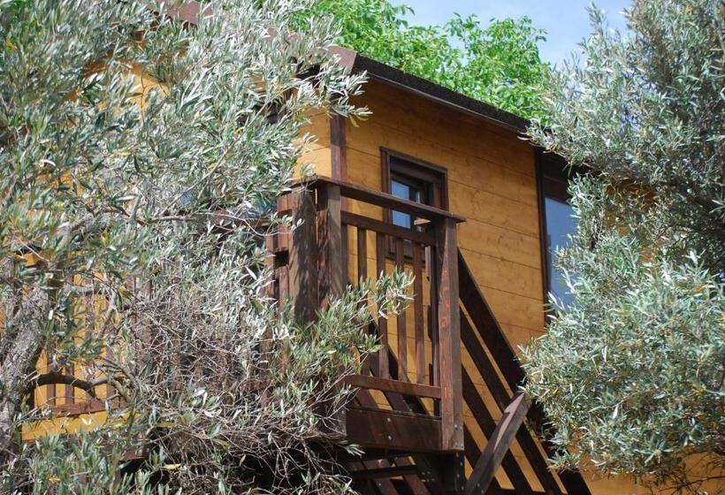 ベッドアンドブレックファースト Palazzo Conforti Tree House Resort