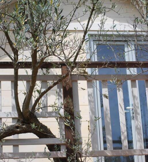 ベッドアンドブレックファースト Palazzo Conforti Tree House Resort