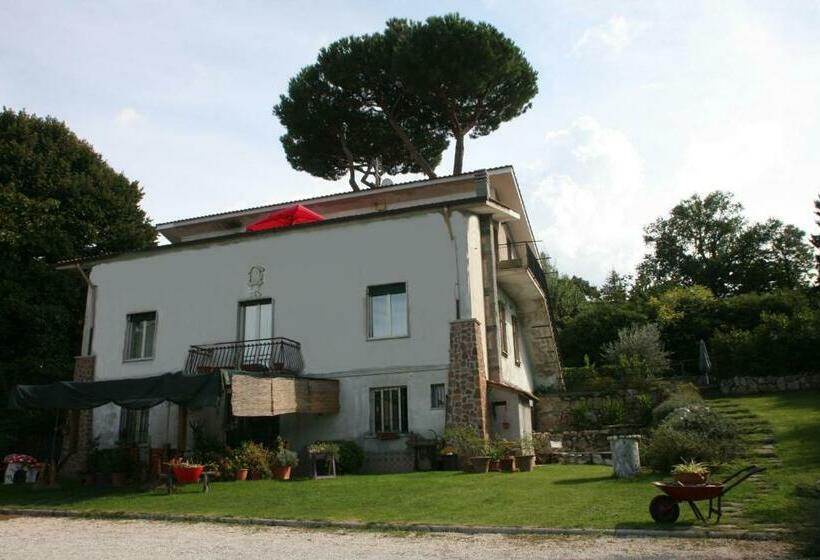 Bed and Breakfast Patrian